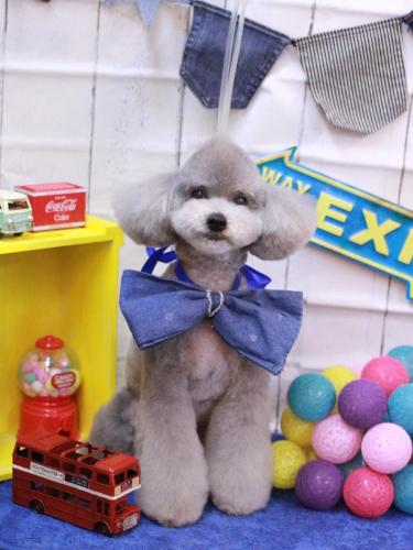 20230411宇宙くん